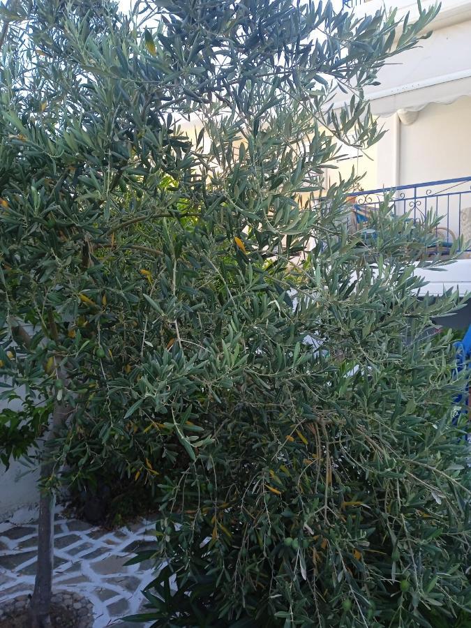 Seethesea Apartment Kanali Preveza Buitenkant foto
